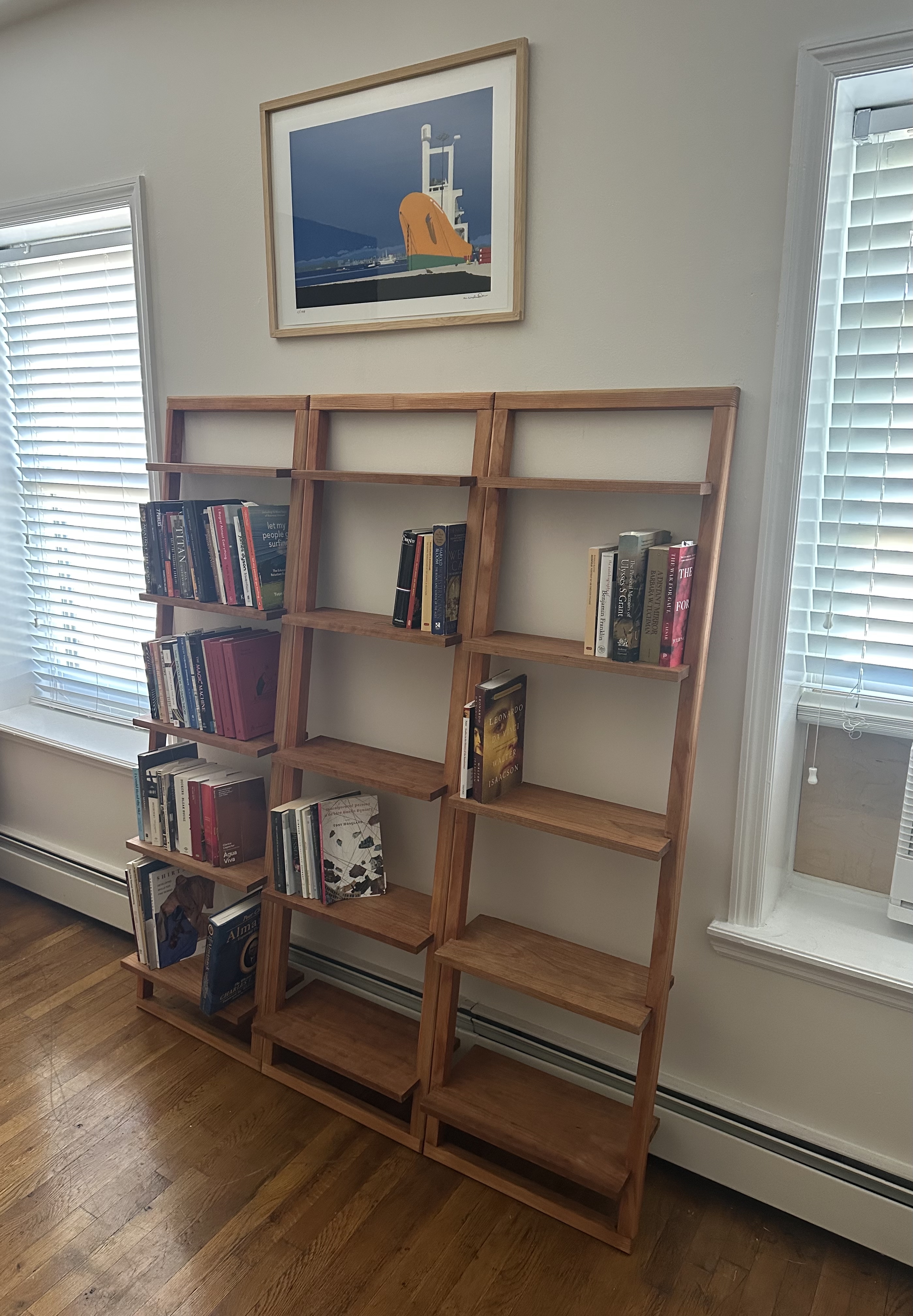Leaning Shelves - With Books